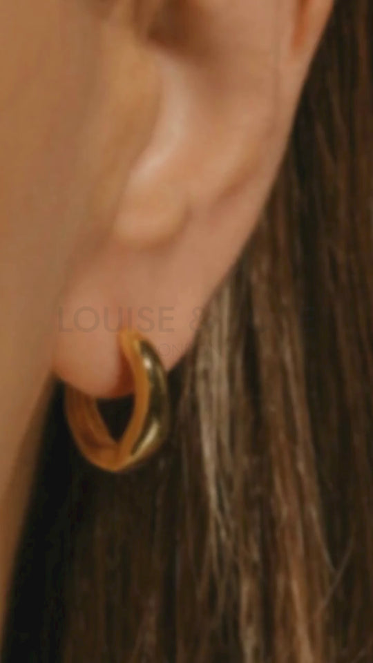 Charlotte Everyday Hoop Earrings